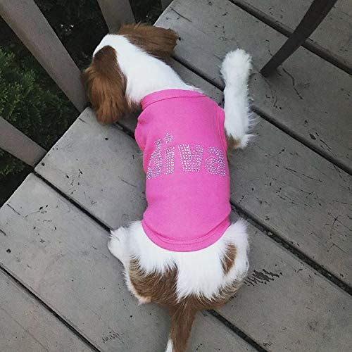 Parisian Pet Diva - Camiseta de Manga Corta, tamaño Mediano