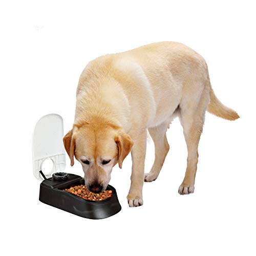 PAWISE Alimentador automático para mascotas para perros y gatos, alimentador dispensador de alimentos de 1,5 tazas con temporizador de 48 horas - Individual