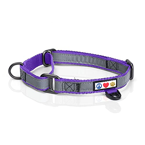 Pawtitas Collar de Perro Martingale Reflectante para obediencia Talla Pequeño Color Morado