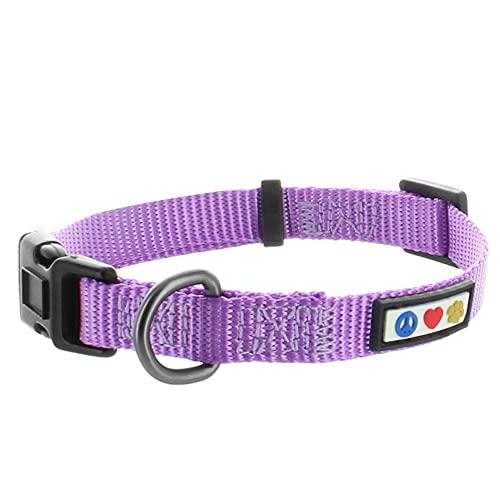 Pawtitas Collar para Perros Ideal para el adiestramiento de tu Mascota, Collar de Perro cómodo y Duradero con Anillo de Metal para Etiqueta de Nombre - Collar Color Lila XS