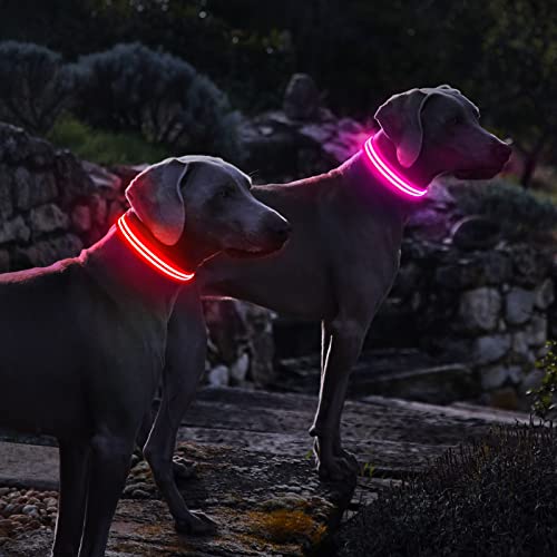 PcEoTllar Collar Luminoso para Perros Recargable LED Collar para Perros 3 Modos de Iluminación Impermeable Ajustable Súper Brillante para Perros Pequeños Medianos Grandes Caminata Nocturna - Rosa L