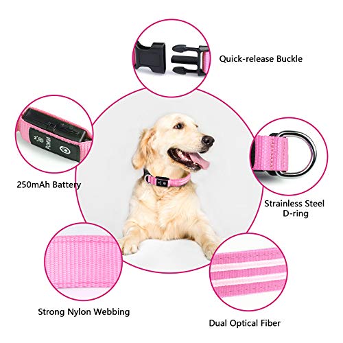 PcEoTllar Collar Luminoso para Perros Recargable LED Collar para Perros 3 Modos de Iluminación Impermeable Ajustable Súper Brillante para Perros Pequeños Medianos Grandes Caminata Nocturna - Rosa L