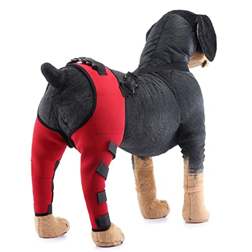 PCLILIJIA Soporte para la articulación de la Pata Trasera Trasera del Perro, cinturón Soporte para el Soporte la Pata Trasera Doble del Perro Mascota, Suministros recuperación para Perros,Rojo,L