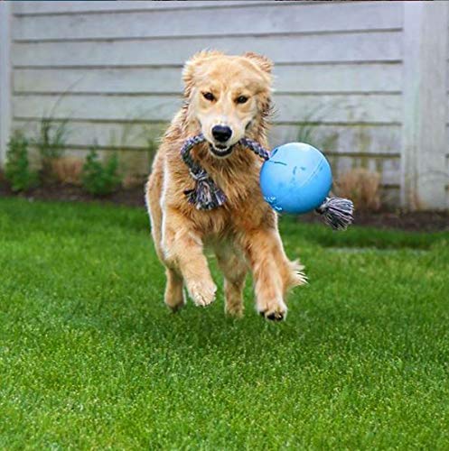 Pelota de Juguete Jolly Romp-N-Roll para Mascotas, 15 cm, Azul Claro