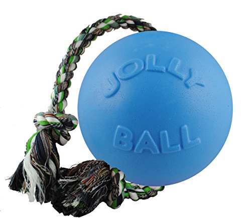 Pelota de Juguete Jolly Romp-N-Roll para Mascotas, 15 cm, Azul Claro