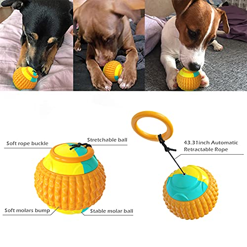 Pelota Deportiva para Perros Lanzador De Bolas Juguete Interactivo para Perros Juguetes para Masticar para Cachorros Perro Pequeño Grande Limpieza De Dientes Masticar Jugar IQ Treat