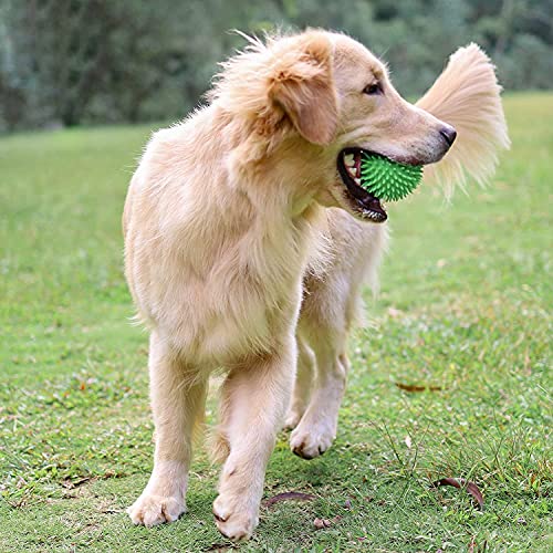 Pelota para perros, limpieza de dientes de mascotas, juguetes para masticar perros pequeños, medianos y grandes