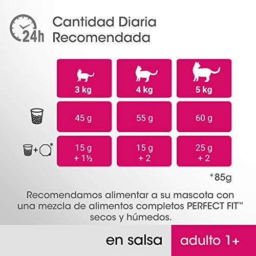 PERFECT FIT Comida Húmeda Natural para Gatos Adultos Sabor Pescado y Pavo (13 paquetes x 4 sobres x 85g)