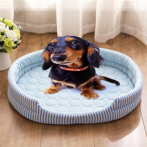 Perrito Perrito, para Perros Gatos para Dormir Matriz De Cama para Dormir Mascota De Hielo Matera De Hielo Bednel Fresco Verano Mascota Kennel Hielo Seda Estera De Enfriamiento,Azul,48 * 35CM