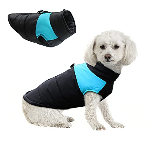 Perro Chaqueta Otoño Invierno,Abrigo aprueba de Agua de Perro para Invierno Ropa,Ropa Mascotas Abrigada Algodón, Adecuado para Gatos y Perros de tamaño pequeño a Mediano. (Azul, S)