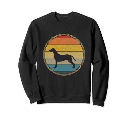 Perro Dálmata Vintage Retro 70s 80s Dálmata Dog Lover Sudadera