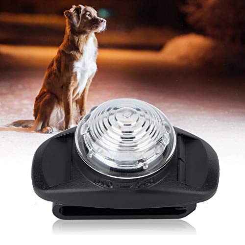 Perro LED Luminoso Collar Impermeable ABS Mascota Noche Anti-perdida Collar Iluminado Collar Ajustable Mascotas Collar Luz Adorno para Perro Regulable (Blanco)