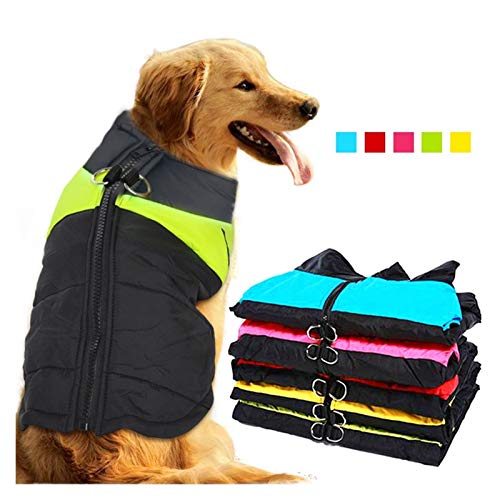 Perro Mascota Ropa De Invierno Gran Perro Mascota Ropa Impermeable Capa De La Chihuahua Ropa Del Perro Pastor De La Chaqueta De Bulldog Francés, Dog Fashion Mono Ropa (Color : Blue, Size : XL)