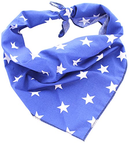 Pet Pooch Boutique Star Bandana para Perro, tamaño Mediano/Grande, Azul