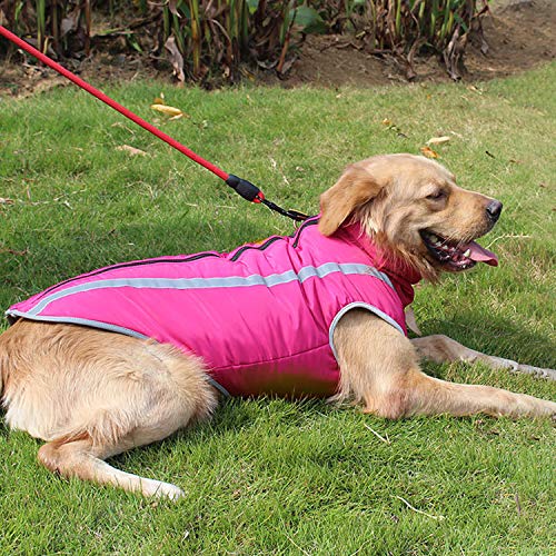 PETCUTE Abrigo para Perros Impermeable Chaleco cálido para Perro Chaqueta para Perros medianos Grandes para Perros