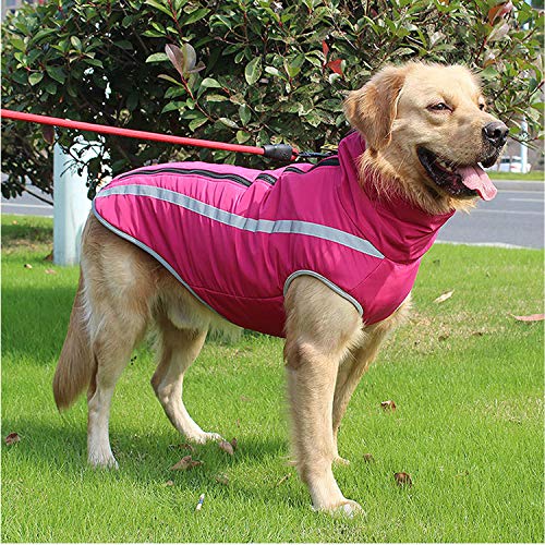 PETCUTE Abrigo para Perros Impermeable Chaleco cálido para Perro Chaqueta para Perros medianos Grandes para Perros