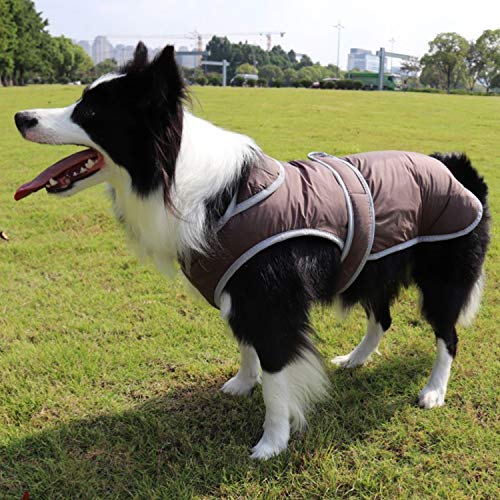 PETCUTE Chaqueta para Perros Abrigo de Invierno para Perros Chaqueta de Invierno cálida para Perros Pequeño Mediano Tamaño Grande