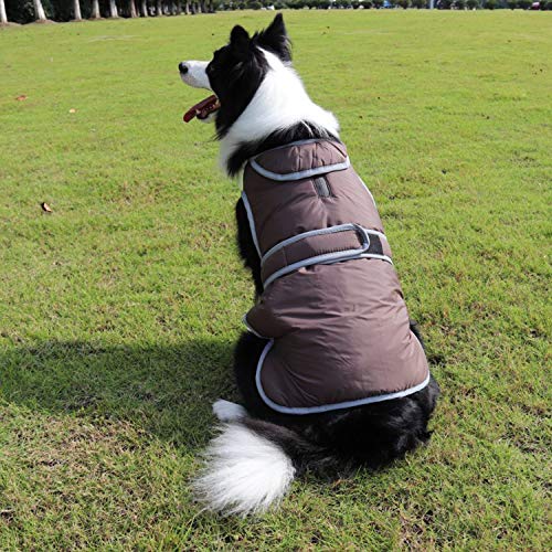 PETCUTE Chaqueta para Perros Abrigo de Invierno para Perros Chaqueta de Invierno cálida para Perros Pequeño Mediano Tamaño Grande