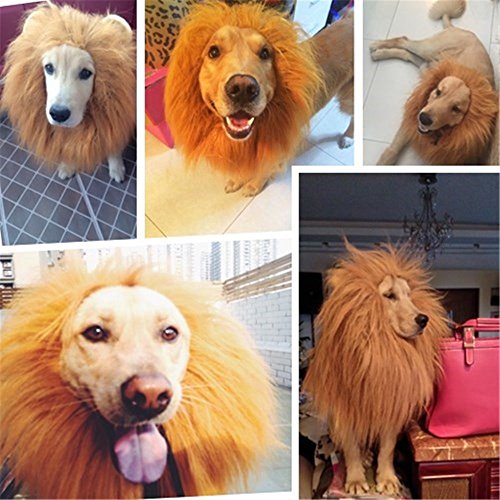 PETCUTE Peluca Disfraz de León para Perro y Gato Lion Mane Peluca León Pelo Perro para Halloween Actividad del Festival