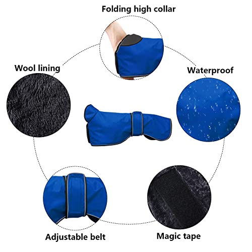 Pethiy Abrigo de Invierno Impermeable para Perro Galgo, con Forro Polar cálido y Bandas Ajustables, Térmico Chaquetas Ideal para Uso al Aire Libre, Perros medianos y Grandes-Azul-XXXL