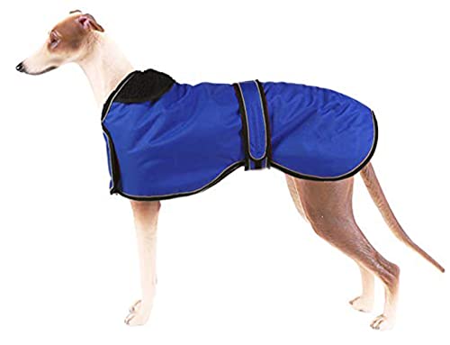 Pethiy Abrigo de Invierno Impermeable para Perro Galgo, con Forro Polar cálido y Bandas Ajustables, Térmico Chaquetas Ideal para Uso al Aire Libre, Perros medianos y Grandes-Azul-XXXL