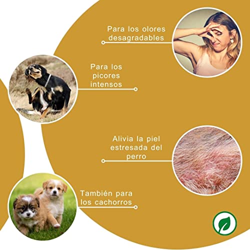 Peticare champú Especial caspa para Perros - Cuidado Altamente eficaz para la Piel Seca y escamosa, Alivia el picor, cuida la Piel del Perro, para el Mal Olor - petDog Health 2114