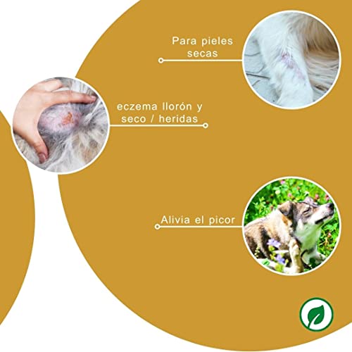 Peticare Tratamiento de heridas para Perros, Caballos y Gatos - pomada para heridas con picor severo, heridas por mordedura, abrasiones - petAnimal Health 2107