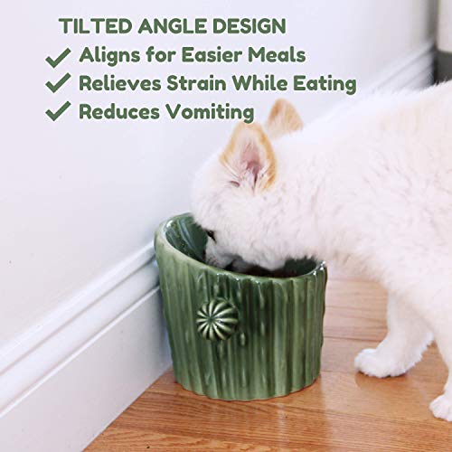 PetnPurr Cactus Raised Dog & Cat Food Bowl - Cuencos Inclinados de cerámica para Comida para Mascotas para Gatos y Perros pequeños. Protege el Cuello de tu Mascota