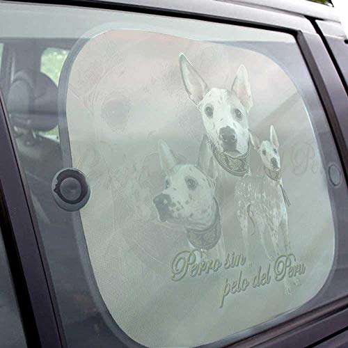 Pets-easy - Parasol para perro, coche de perro desnudo