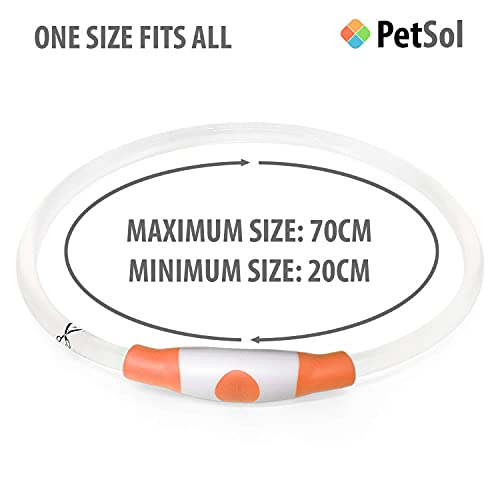 PetSol LED Collar Perro Collar de Seguridad LED Recargable Ultra Luminoso para su Mascota batería de Litio Recargable Mayor Visibilidad y Seguridad Talla única para Todos los Perros y Gatos (Naranja)