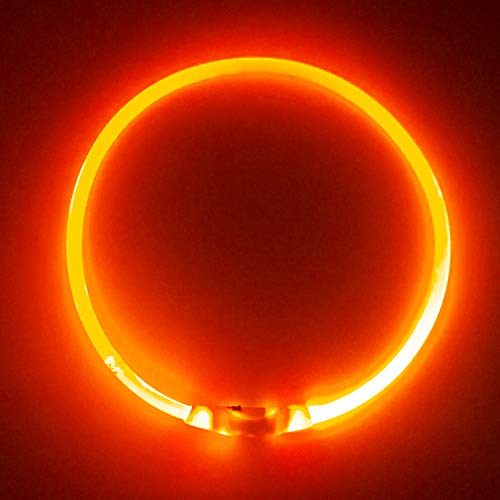 PetSol LED Collar Perro Collar de Seguridad LED Recargable Ultra Luminoso para su Mascota batería de Litio Recargable Mayor Visibilidad y Seguridad Talla única para Todos los Perros y Gatos (Naranja)