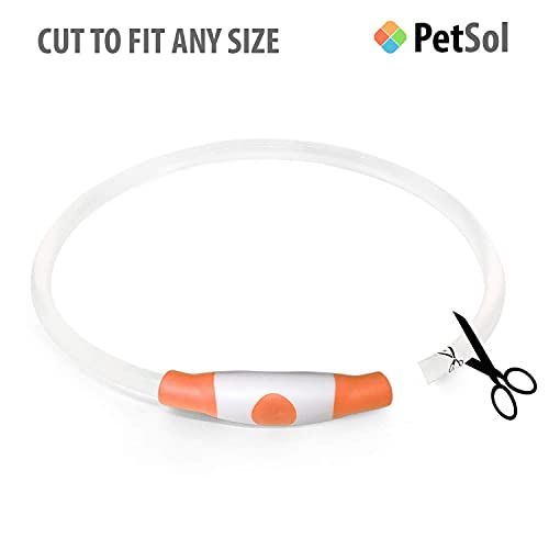 PetSol LED Collar Perro Collar de Seguridad LED Recargable Ultra Luminoso para su Mascota batería de Litio Recargable Mayor Visibilidad y Seguridad Talla única para Todos los Perros y Gatos (Naranja)