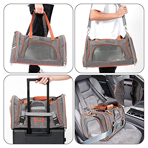 PETTOM Transportín Perro Gato Plegable con Tira Reflectante Parte Inferior Acolchada y Rigido Pet Carrier Impermeable Transpirable para Pequeños Mascota Viajes Avion Coche o Tren Gris