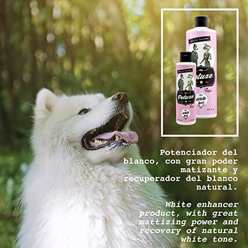 Petuxe Champú para Mascotas de Pelo Blanco en garrafa. Champú Vegano para Perros y Gatos. Aloe Vera ecológico. Potenciador Color Blanco Natural - 5000 ml