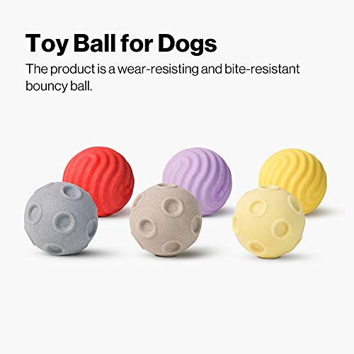 pidan - Pelota de Juguete para Masticar Perros de Goma, interactiva, Resistente, no tóxica, TPR, Material Ambiental para masticadores agresivos y Perros pequeños