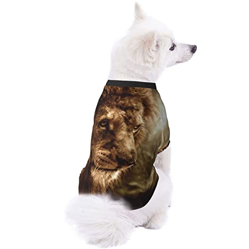 Pijamas Suaves para Mascotas León Retro Cielo Cachorro Perro Traje Informal Mascotas Usar Sudaderas con Capucha Ropa de Abrigo para Mascotas