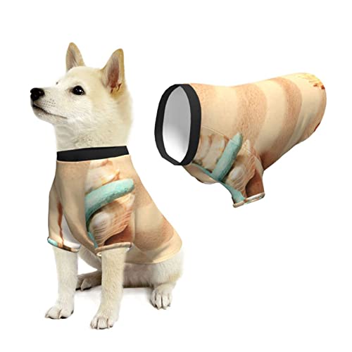 Pijamas Suaves para Mascotas, Playa de Verano, Perro, Cachorro Tropical, Atuendo Informal, Ropa para Mascotas, Sudaderas con Capucha, Ropa de Abrigo para Mascotas