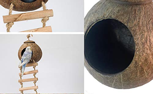 PINVNBY Casa de nido de gecko de coco natural para escondite de reptiles, jaula de cama, juguete con escalera para colgar para lagartos, camaleón, serpientes, animales pequeños, 2 unidades