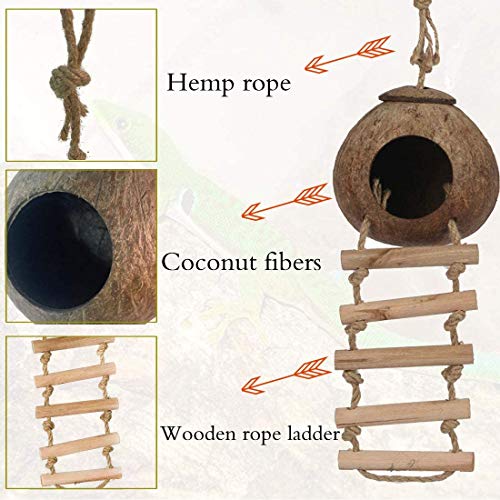 PINVNBY Casa de nido de gecko de coco natural para escondite de reptiles, jaula de cama, juguete con escalera para colgar para lagartos, camaleón, serpientes, animales pequeños, 2 unidades