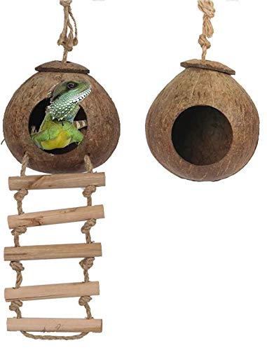 PINVNBY Casa de nido de gecko de coco natural para escondite de reptiles, jaula de cama, juguete con escalera para colgar para lagartos, camaleón, serpientes, animales pequeños, 2 unidades