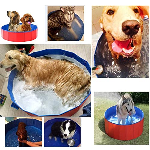 Piscina Plegable for Perros Grandes Piscinas for Jardines for Mascotas Perro Piscina Inflable bañera al Aire Libre de Verano de Peluche Golden Retriever Gran Perro Gato (Size : 120cmx30cm)