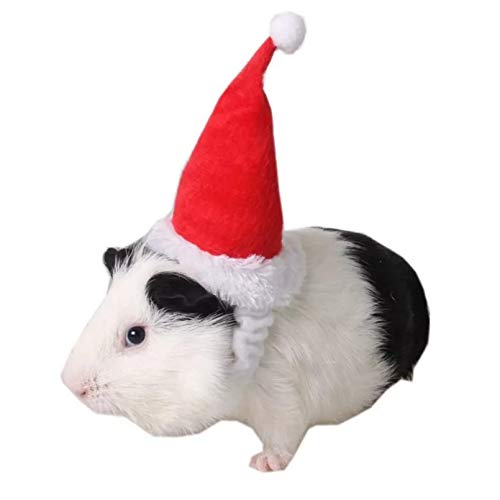 PKYGXZ Animales pequeños Sombreros para Mascotas Sombrero de Papá Noel Conejo Hámster Conejillo de Indias Ratas Festival Disfraz Gorra de Navidad con Banda Productos para Mascotas