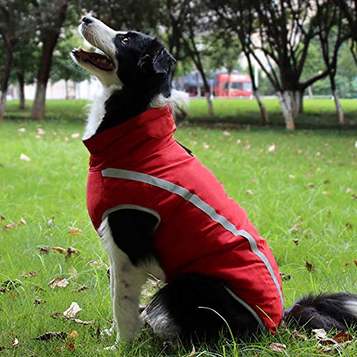 PLUS PO Vestidos de perro para mascotas, vestido de princesa, vestido para cachorros, vestidos de boda para perros, ropa para perros pequeños, ropa XXL, color rosa rojo