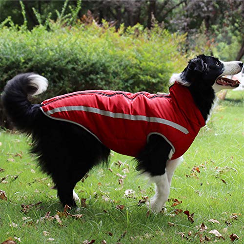 PLUS PO Vestidos de perro para mascotas, vestido de princesa, vestido para cachorros, vestidos de boda para perros, ropa para perros pequeños, ropa XXL, color rosa rojo