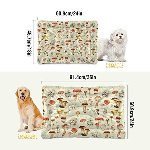 Poeticcity Alfombra de cama vintage con diseño retro de setas rojas para perros y gatos, cojín de colchón suave para mascotas pequeñas y medianas, antideslizante, lavable y seco, 36 x 24 pulgadas