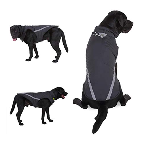 PONNMQ Ropa para Perros de Invierno Ropa para Perros Abrigada Ropa para Cachorros Chaleco Impermeable para Mascotas Chaqueta para Perros pequeños medianos Grandes Golden Retriever, Púrpura, M