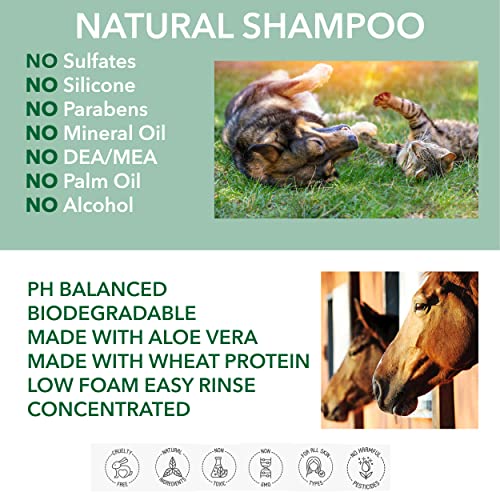 POO FREE 99% Natural CHAMPÚ CALMANTE para Caballos - con Aloe Vera, Geranio & Lavanda 250ml pH Equilibrado. Sin Sulfatos, Sin Parabenos, Sin Silicona. Concentrado, Limpia, Calma, Hidrata, Alivia