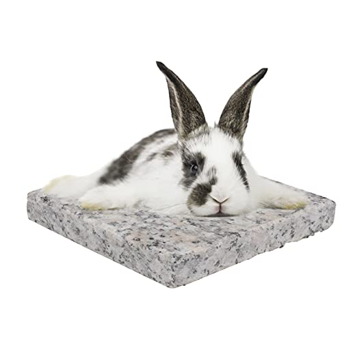 POPETPOP 2 Pzas Cama de Conejillo de Indias Cama de Conejito para El Verano Alfombrilla de Refrigeración de Mascotas para Conejos Conejitos Chinchillas Cama de Refrigeración de Mármol