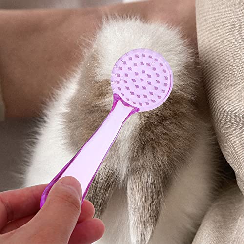 POPETPOP 4 Piezas de Cepillos de Limpieza para Peluches de Hámster Cepillos de Baño para Animales de Mascota para Conejillo de Indias Hurón de Chinchilla (Color Aleatorio)