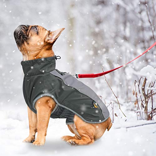 POPETPOP Abrigo Impermeable para Perros Cazadora para Perros Pequeños Medianos y Grandes Caminar o Entrenamiento Caza Cámping al Aire Libre (L, Negro)